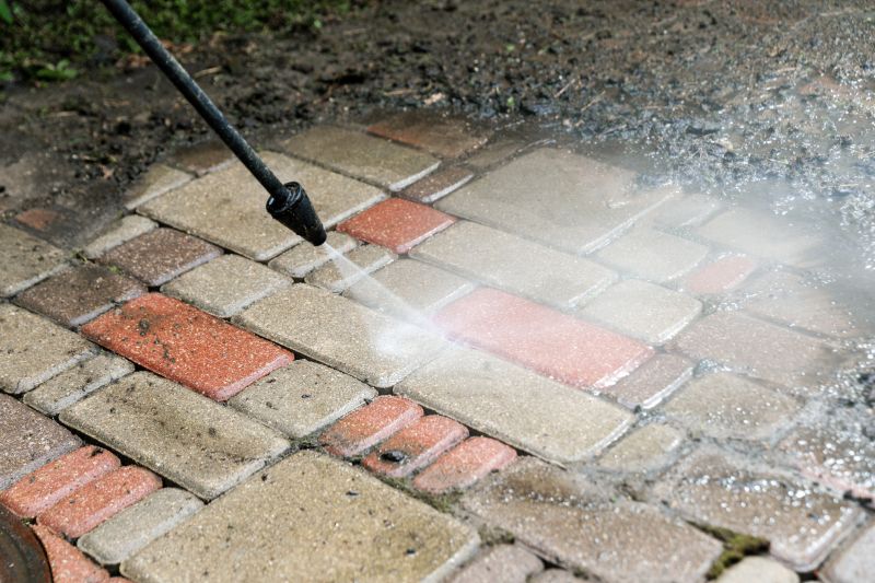 Brick Paver Cleaning in Spring