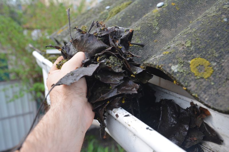 Clogged Gutter Clearing in Frederick, MD