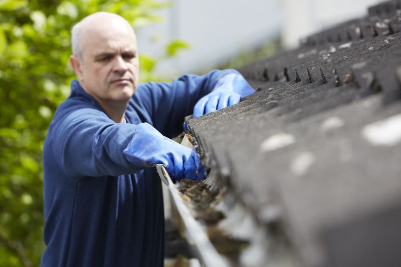 Roof Gutter Cleaning in Morris County, NJ
